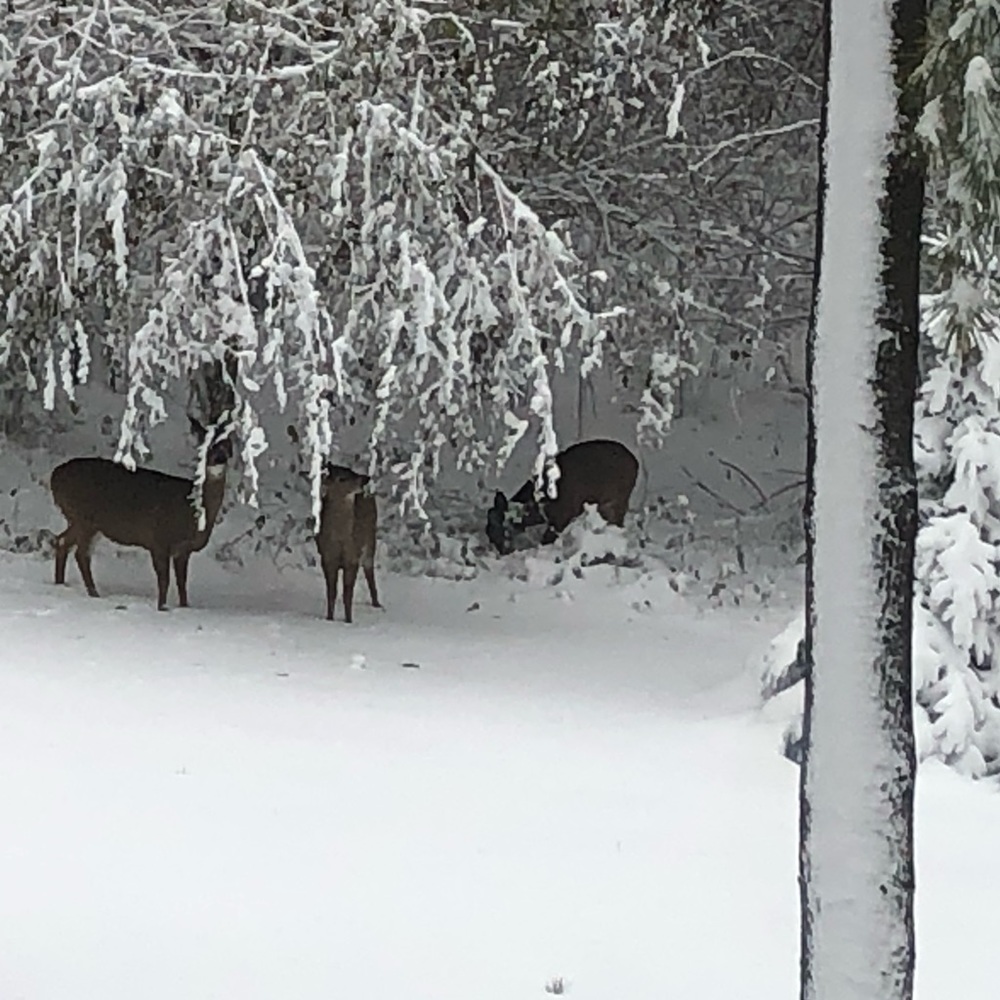 Meet your Posher, Christopher